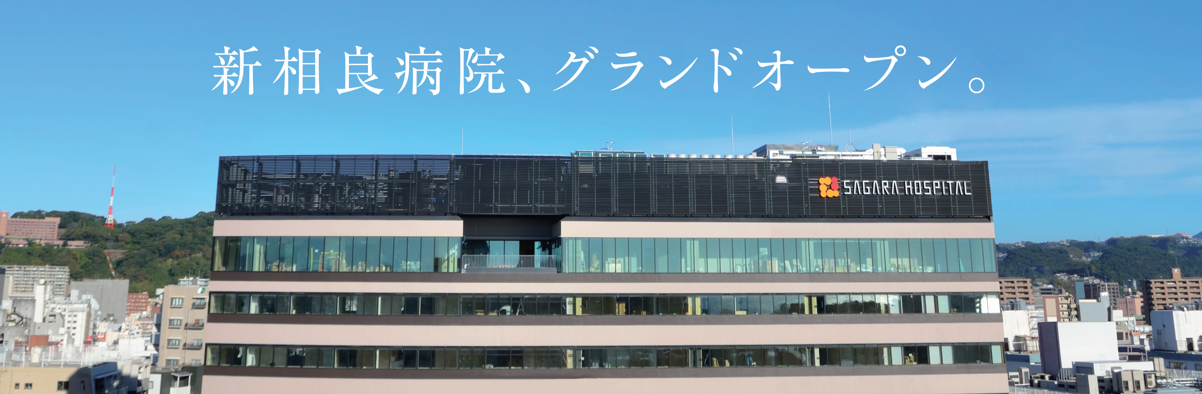 VǕa@AOhI[vB